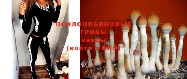 мескалин Нягань