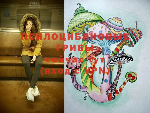 ГАЛЛЮЦИНОГЕННЫЕ ГРИБЫ Чегем