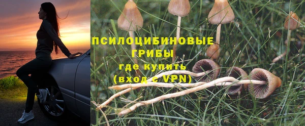 ECSTASY Няндома