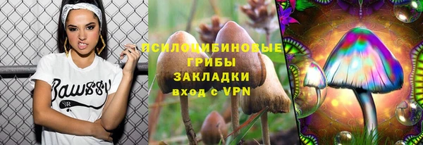мескалин Нягань