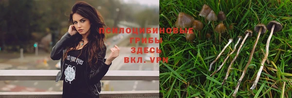 jwh Нязепетровск