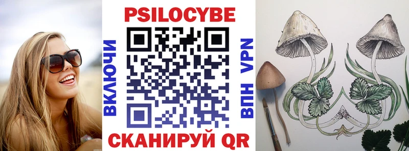 Псилоцибиновые грибы Magic Shrooms  blacksprut зеркало  Поронайск 